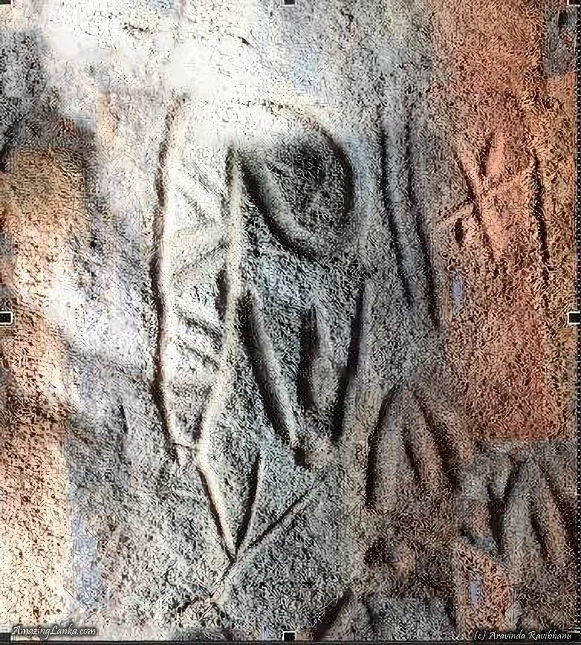 Ancient History 1