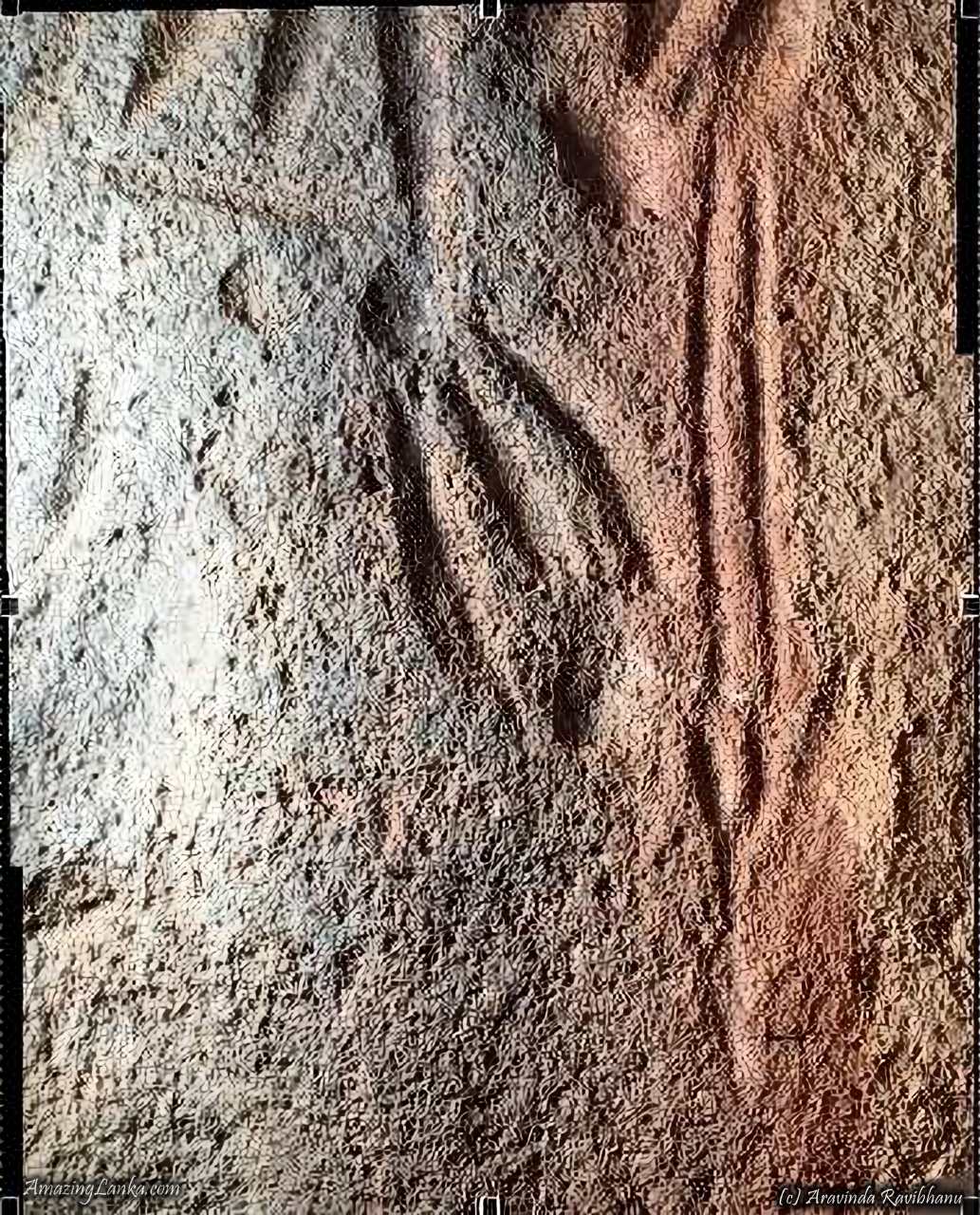 Ancient History 2